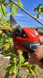 AGRIFOY distributeur officiel des sécateurs MAGE